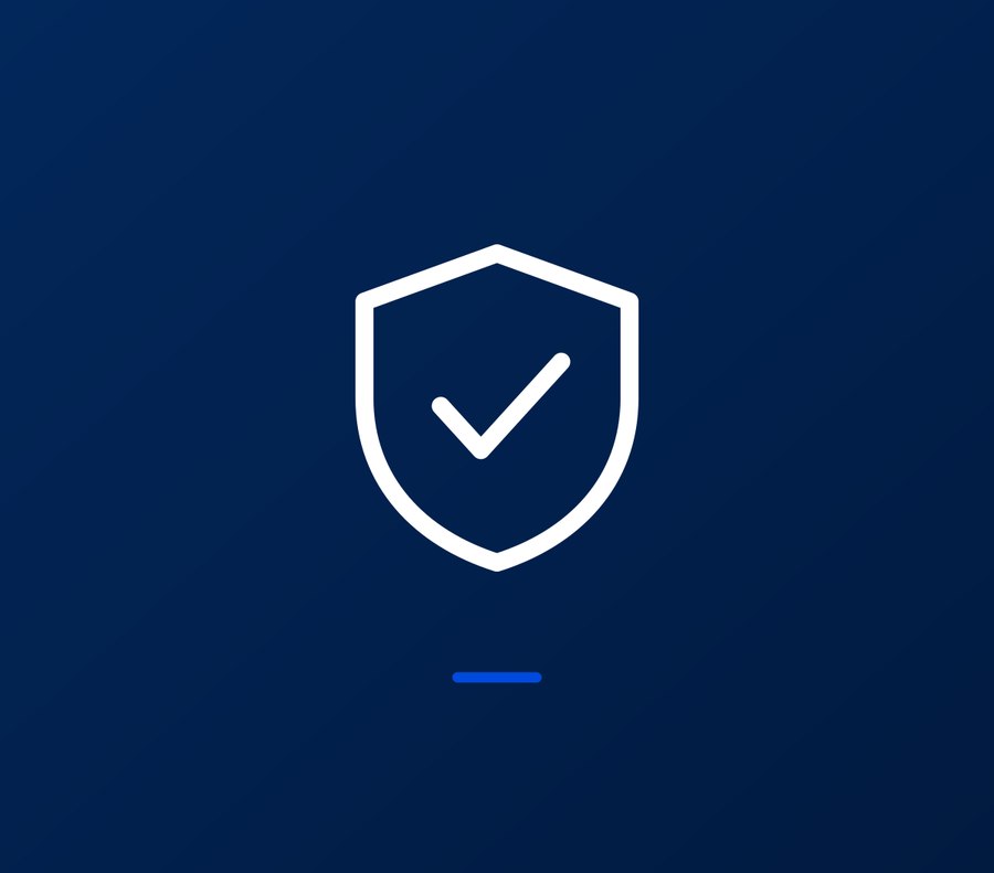 IT Security Services icon