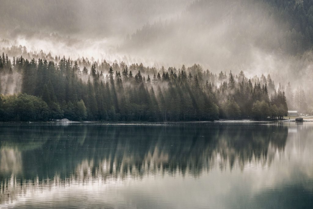 serene foggy forest reflected on a tranquil lake